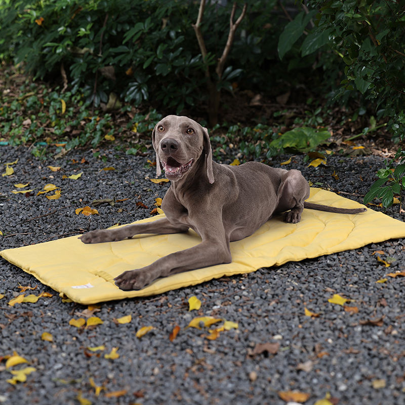 Portable Pet Mat Foldable Pet  - Outdoor Camping Rug Waterproof ulasan dan harga